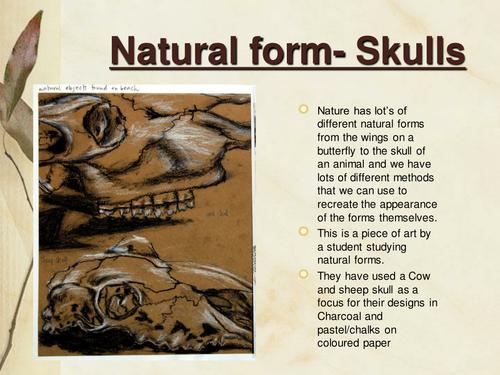 Drawing skulls in different materials