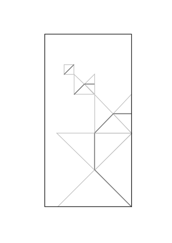 Ammonite Shell - Transformations
