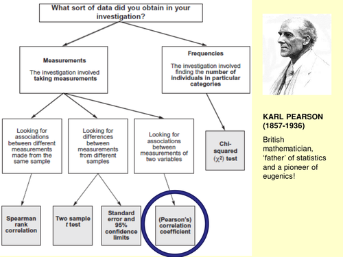 Pearson's Correlation Coefficient powerpoint