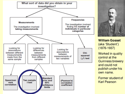 T-test powerpoint