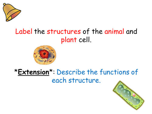 Bacteria (B2 edexcel)