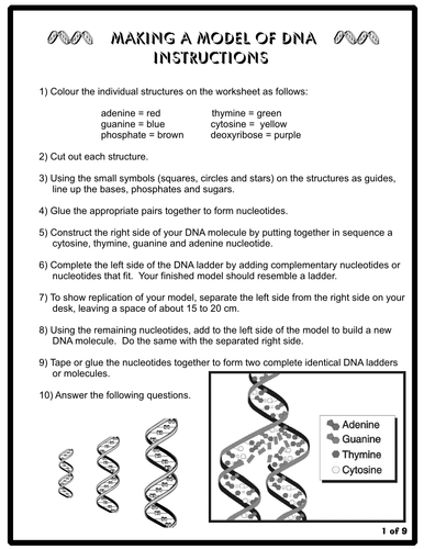 DNA (B2 edexcel) by awillis1986 - Teaching Resources - Tes