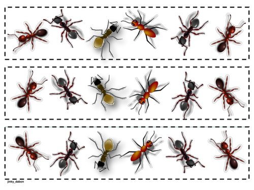 Ants on tartan cut-out border