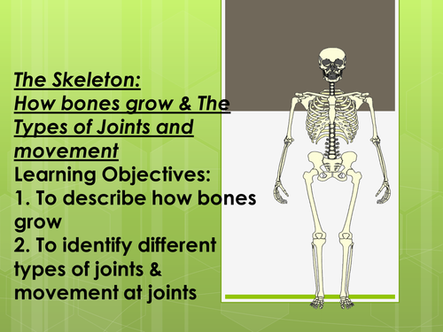 Joints & Movement