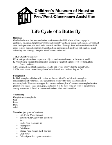 Lifecycle of a Butterfly