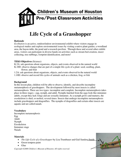 grasshopper life cycle worksheet