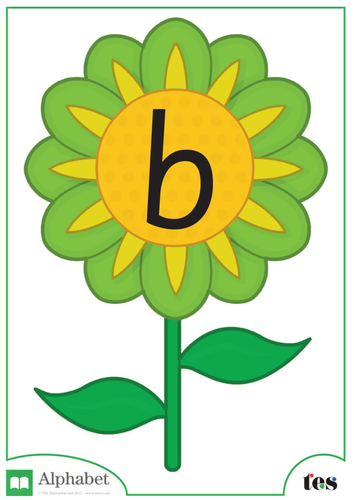 The Letter B - Flower Theme