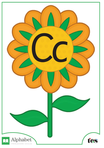 The Letter C - Flower Theme