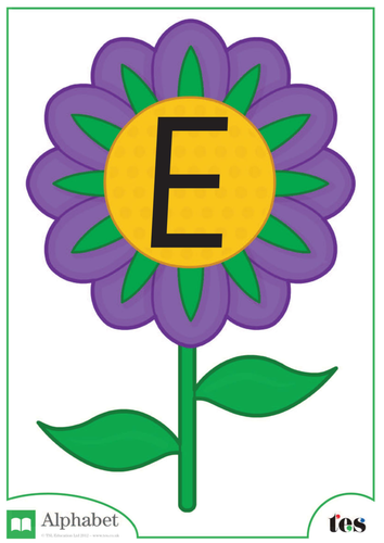 The Letter E - Flower Theme