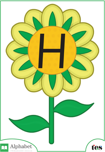 The Letter H - Flower Theme