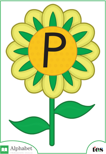 The Letter P - Flower Theme