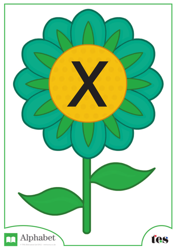 The Letter X - Flower Theme