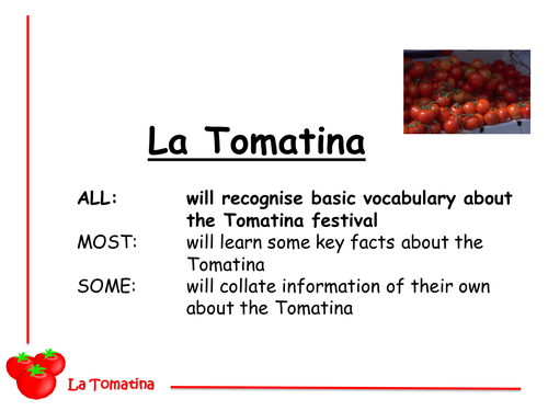 Tomatina (Spanish tomato festival)