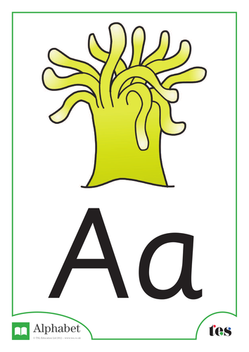 A-Z Classroom Display - Ocean Theme