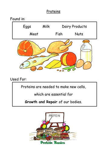 Pupil Led Learning activity - NUTRIENTS 8Ab