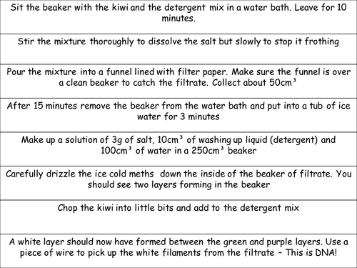 Extracting DNA (B2 Edexcel)