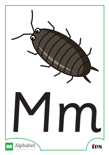 The Letter M - Minibeasts Theme