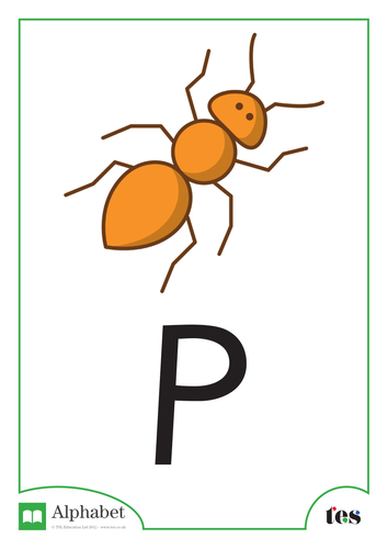 The Letter P - Minibeasts Theme