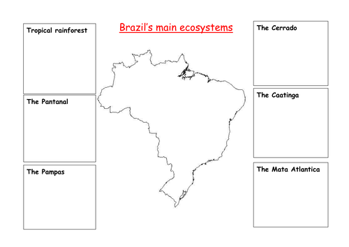 Investigating Brazil