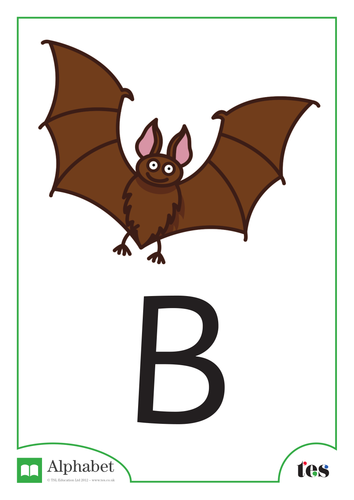 The Letter B - Nocturnal Animals Theme