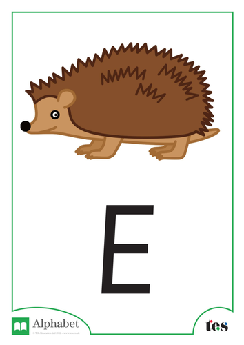 The Letter E - Nocturnal Animals Theme