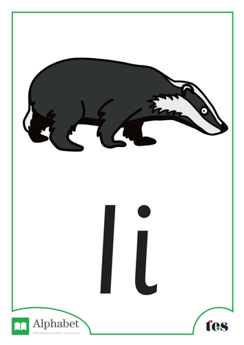 The Letter I - Nocturnal Animals Theme