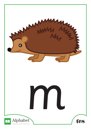 The Letter M - Nocturnal Animals Theme