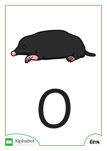 The Letter O - Nocturnal Animals Theme