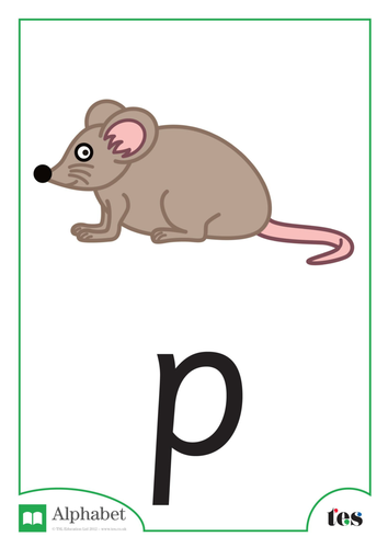 The Letter P - Nocturnal Animals Theme