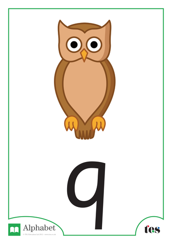 The Letter Q - Nocturnal Animals Theme