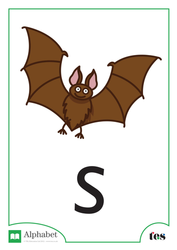 The Letter S - Nocturnal Animals Theme