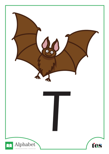 The Letter T - Nocturnal Animals Theme