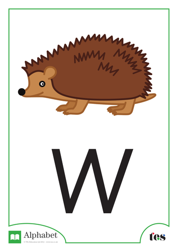 The Letter W - Nocturnal Animals Theme