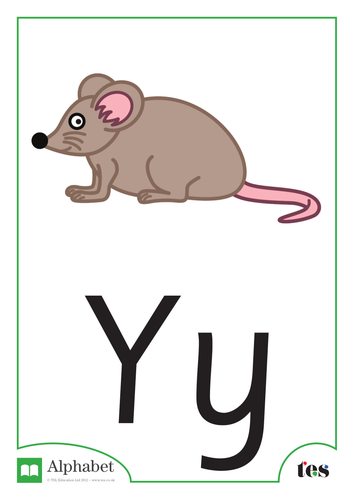 The Letter Y - Nocturnal Animals Theme