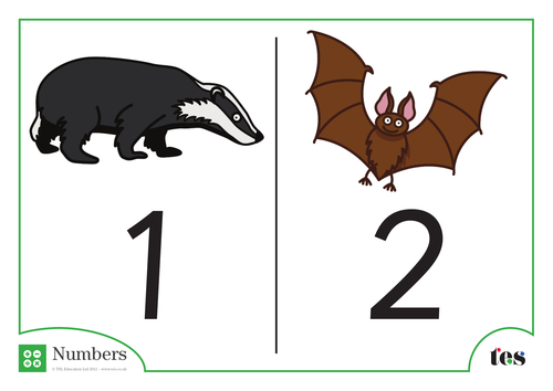 Number Cards - Nocturnal Animal Theme 1-100