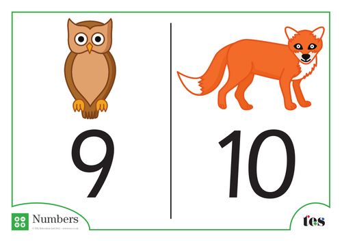 Number Cards - Nocturnal Animal Theme 1-10