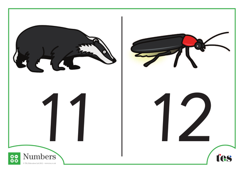 Number Cards - Nocturnal Animal Theme 11-20