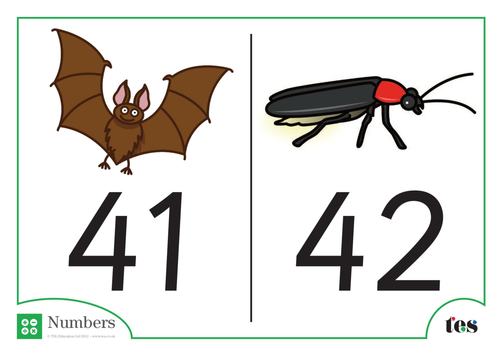 Number Cards - Nocturnal Animal Theme 41-50