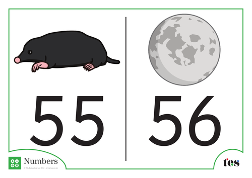 Number Cards - Nocturnal Animal Theme 51-60