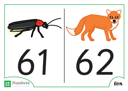 Number Cards - Nocturnal Animal Theme 61-70
