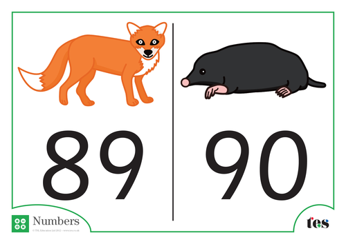 Number Cards - Nocturnal Animal Theme 81-90