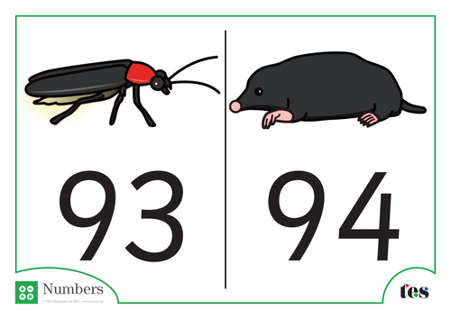 Number Cards - Nocturnal Animal Theme 91-100