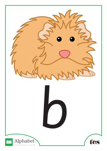 The Letter B - Pets Theme
