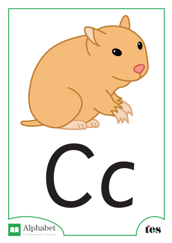 The Letter C - Pets Theme | Teaching Resources