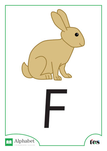 The Letter F - Pets Theme