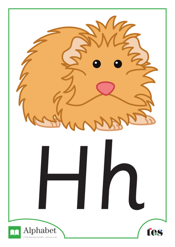 The Letter H - Pets Theme