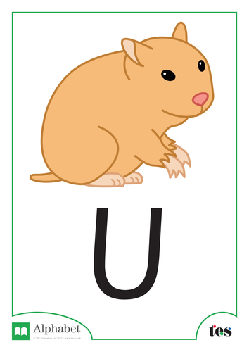 The Letter U - Pets Theme