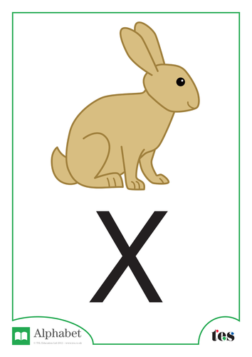 The Letter X - Pets Theme