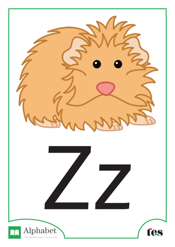 The Letter Z - Pets Theme