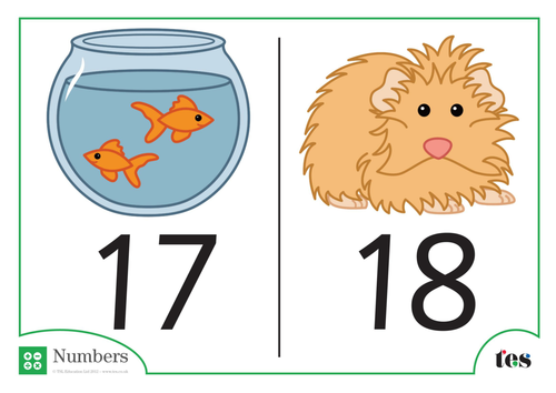 Number Cards - Pet Theme 11-20